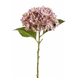 Foto van Decoratieve tak hydrangea roze - 64 cm