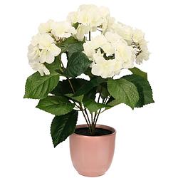 Foto van Hortensia kunstplant/kunstbloemen 40 cm - wit - in pot lichtroze glans - kunstplanten