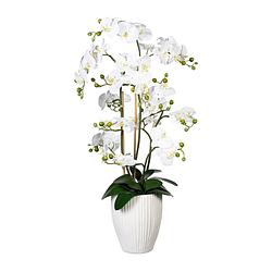 Foto van Kopu® kunstbloem orchidee 110 cm wit bloempot rond - phalaenopsis