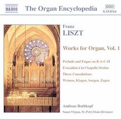 Foto van Organ works volume 1 - cd (0636943454428)