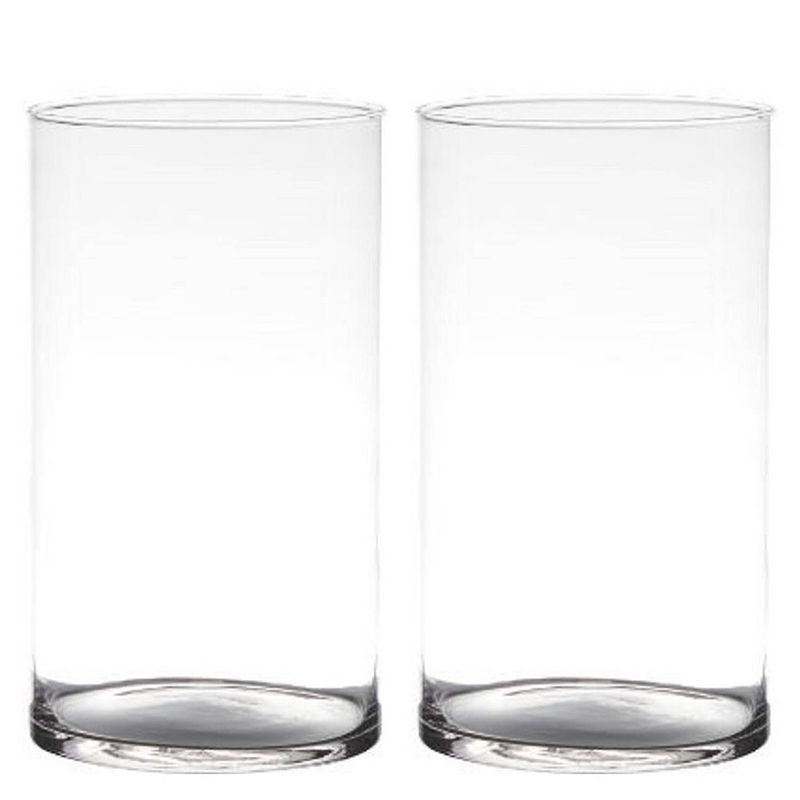 Foto van Set van 2x stuks transparante home-basics cylinder vorm vaas/vazen van glas 29 x 14 cm - vazen
