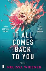 Foto van It all comes back to you - melissa wiesner - ebook