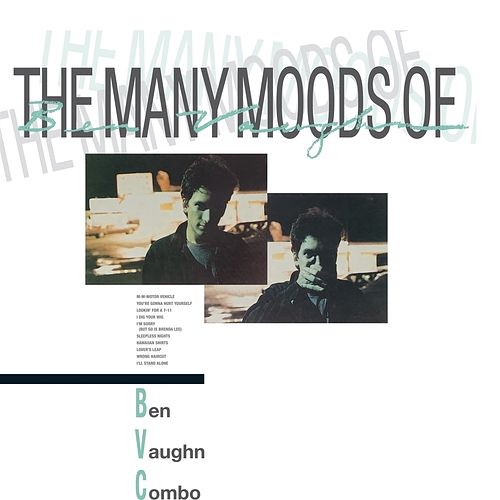 Foto van The many moods of ben vaughn combo - lp (8435008842918)