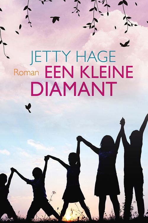 Foto van Een kleine diamant - jetty hage - ebook (9789020537451)