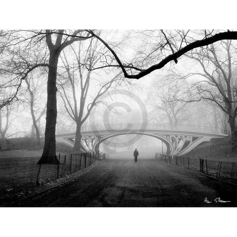 Foto van Henri silberman - gothic bridge, central park nyc kunstdruk 80x60cm