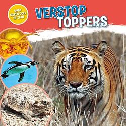 Foto van Verstoptoppers - nancy dickmann - hardcover (9789464390162)