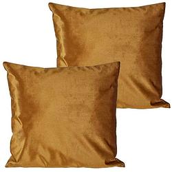 Foto van 2x stuks bank/sier kussens voor binnen in de kleur velvet goud 45 x 45 cm - sierkussens