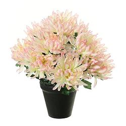 Foto van Louis maes kunstbloemen plant in pot - roze/wit tinten - 28 cm - bloemenstuk ornament - chrysanten - kunstbloemen