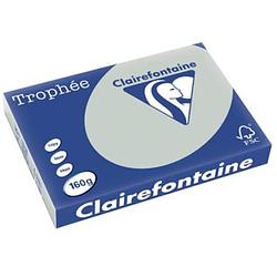 Foto van Clairefontaine trophée pastel a3 lichtgrijs, 160 g, 250 vel