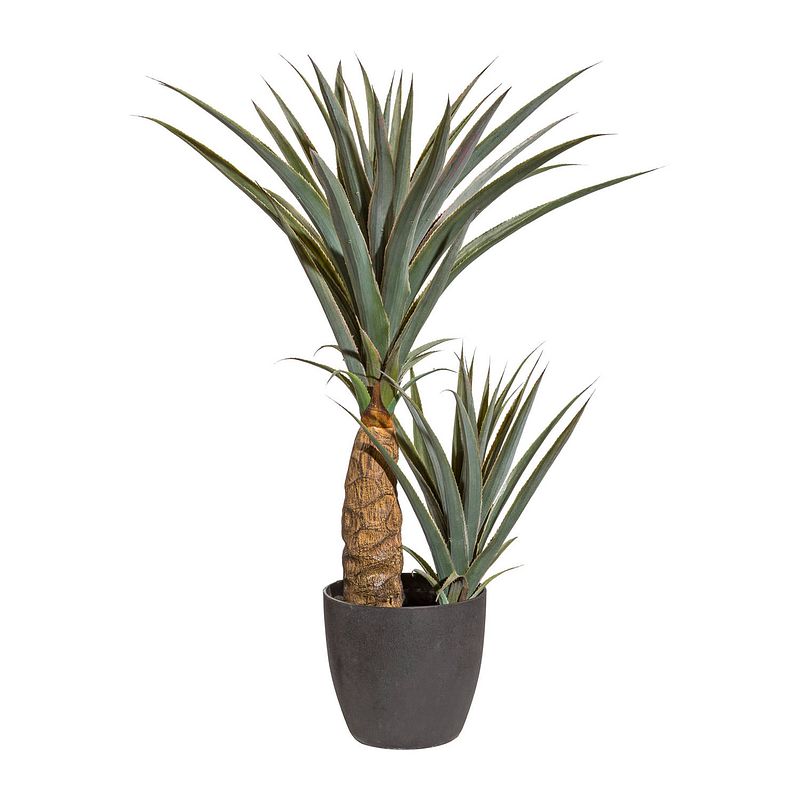 Foto van Kopu® kunstplant agave 80 cm in zwarte pot - 2 stammen - nepplant