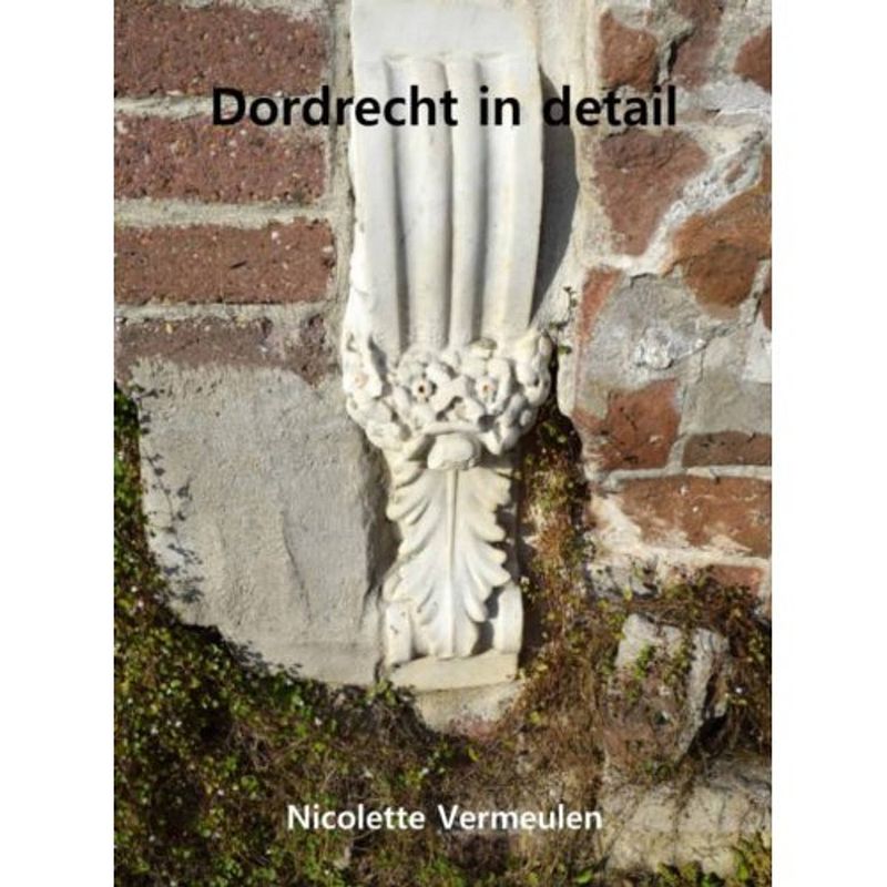Foto van Dordrecht in detail