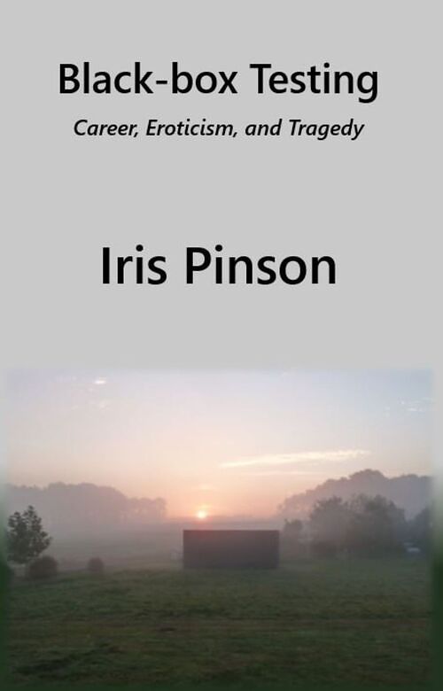 Foto van Black-box testing - iris pinson - ebook (9789083334233)