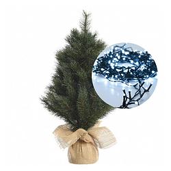 Foto van Mini kerstboom 45 cm - met kerstverlichting helder wit 300 cm - 40 leds - kunstkerstboom