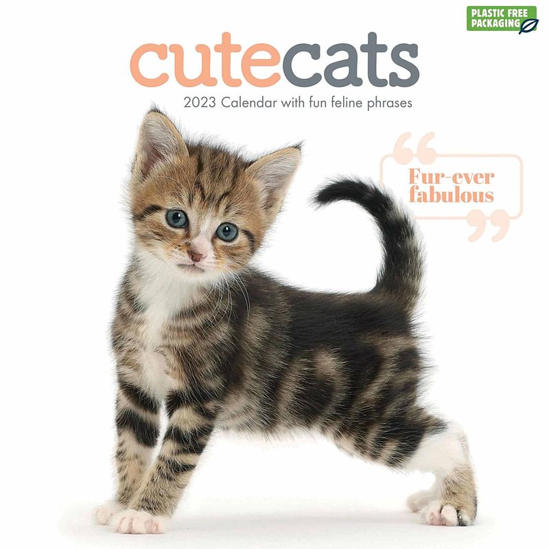 Foto van Cute cats kalender 2023