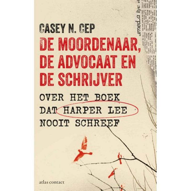 Foto van De moordenaar, de advocaat en de schrijver