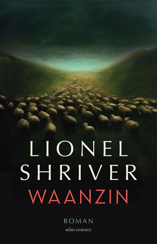 Foto van Waanzin - lionel shriver - ebook