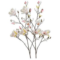 Foto van 2x creme magnolia kunstbloemen tak 105 cm - kunstbloemen