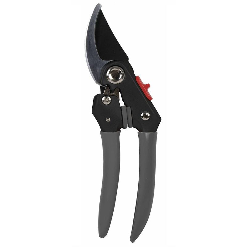 Foto van Talen tools - snoeischaar - premium - voorbijsnijdend - ergonomisch model - 21 cm