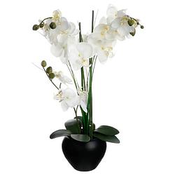 Foto van Orchidee bloemen kunstplant in zwarte bloempot - witte bloemen - h53 cm - kunstplanten