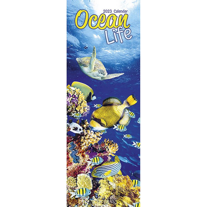 Foto van Ocean life kalender 2023 slimline