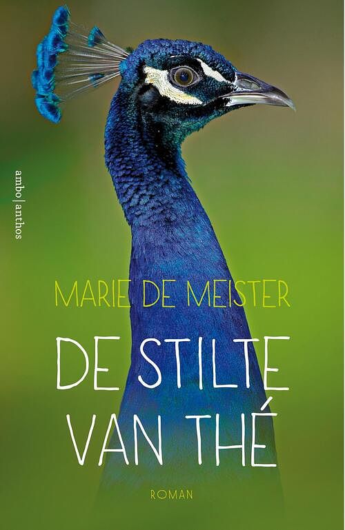 Foto van De stilte van thé - marie de meister - ebook (9789026333521)