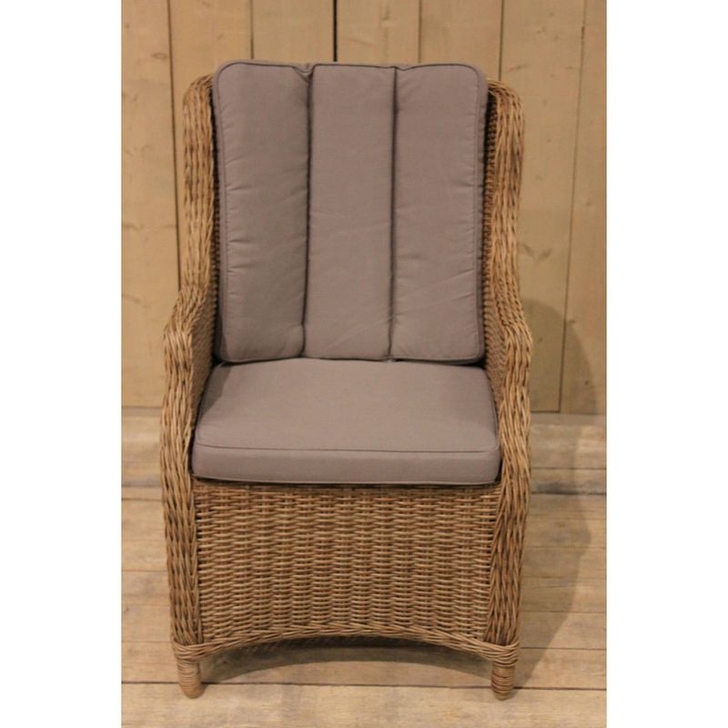 Foto van Eurofleur aanbieding - darwin stoel rattan grey