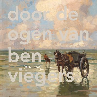 Foto van Door de ogen van ben viegers - williëtte wolters-groeneveld - hardcover (9789062169009)