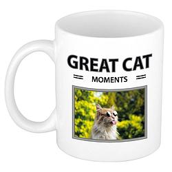 Foto van Rode katten mok met dieren foto great cat moments - feest mokken