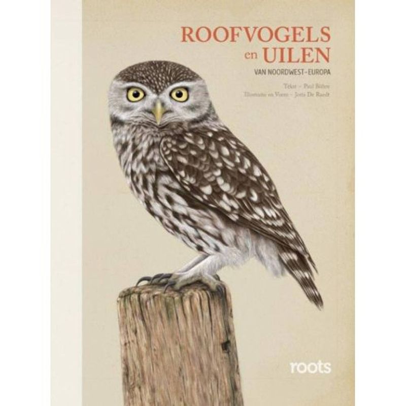 Foto van Roofvogels en uilen