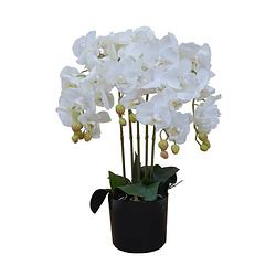 Foto van Kunst orchidee wit 70 cm