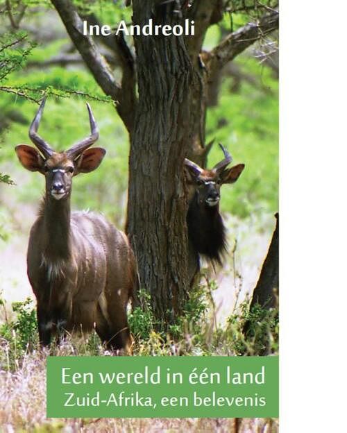 Foto van Een wereld in een land - ine andreoli - ebook (9789086663002)