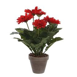Foto van Gerbera kunstplant rood in keramiek pot h35 cm - kunstplanten