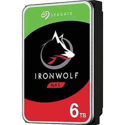 Foto van Ironwolf 6 tb