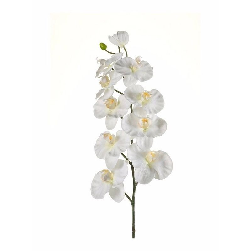 Foto van Kunstbloem orchidee tak 100 cm wit - kunstbloemen