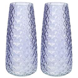 Foto van Bellatio design bloemenvaas - 2x - lavendel paars - glas - d10 x h21 cm - vazen