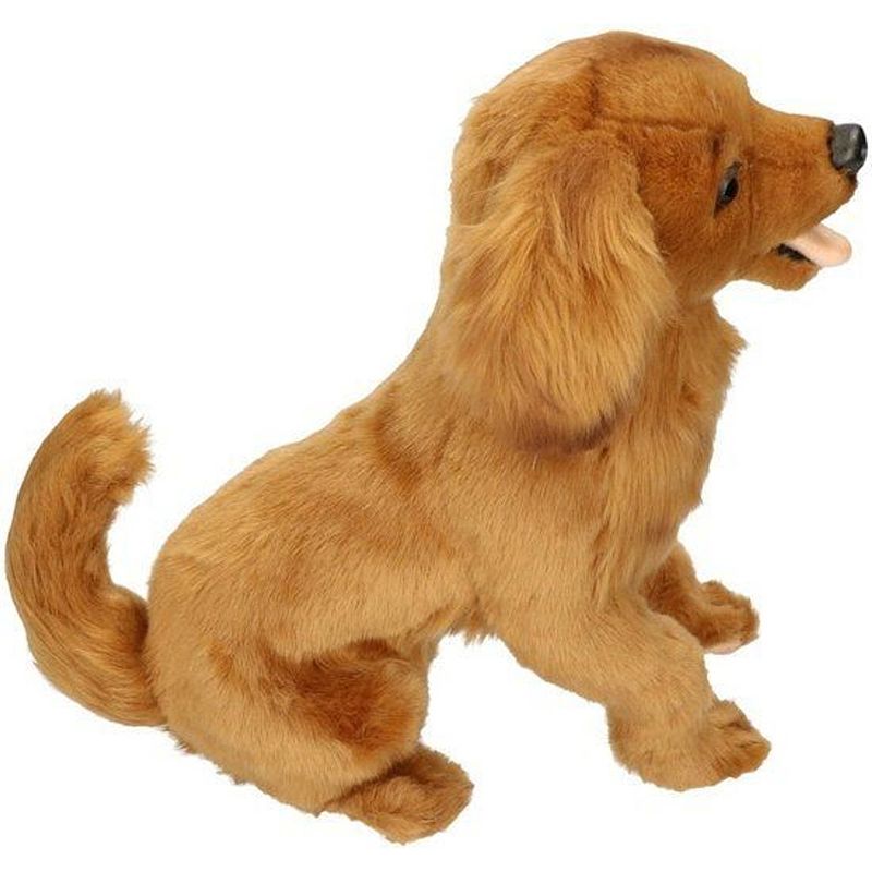 Foto van Knuffel golden retriever, 42 cm, hansa