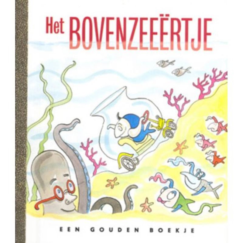 Foto van Het bovenzeeertje