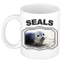 Foto van Dieren grijze zeehond beker - seals/ zeehonden mok wit 300 ml - feest mokken