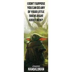 Foto van Pyramid star wars the mandalorian special tricks poster 53x158cm