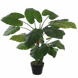 Foto van Groene kunstplant colocasia taro succulent plant in pot 90 cm - kunstplanten