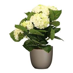 Foto van Hortensia kunstplant/kunstbloemen 36 cm - wit/groen - in pot taupe mat - kunstplanten