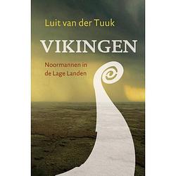 Foto van Vikingen