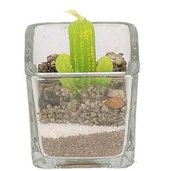Foto van Cactus plant kaarsje - kaarsen