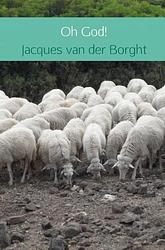 Foto van Oh god! - jacques van der borght - paperback (9789402173086)