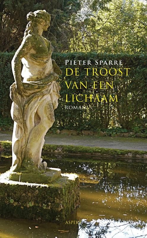 Foto van De troost van een lichaam - pieter sparre - paperback (9789461536259)