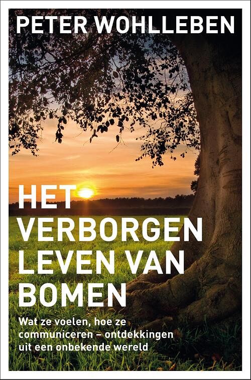 Foto van Het verborgen leven van bomen - peter wohlleben - ebook (9789044975079)