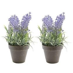 Foto van 2xgroen/paarse lavendula/lavendel kunstplant 17 cm in zwarte pot - kunstplanten