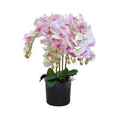 Foto van Kunst orchidee lichtroze 70cm