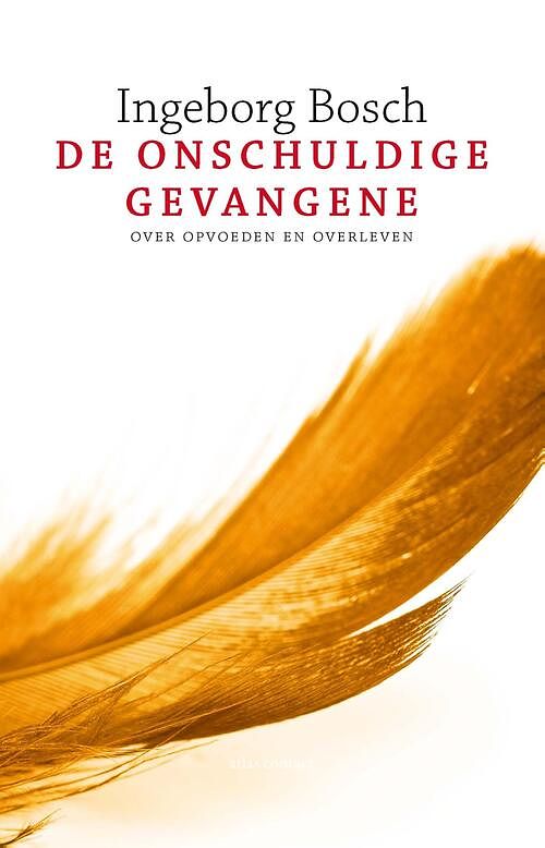 Foto van De onschuldige gevangene - ìngeborg bosch - ebook (9789020430691)