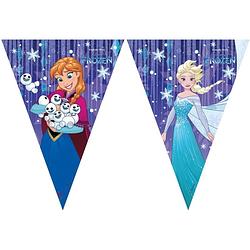 Foto van Disney frozen vlaggenlijn snowflake 230 cm
